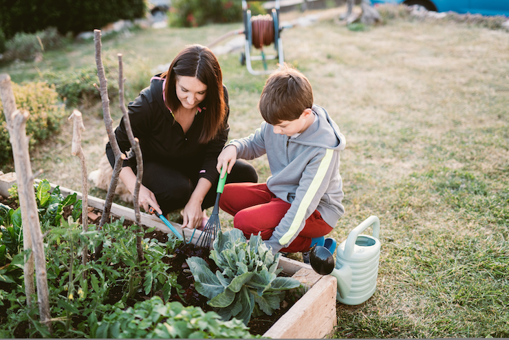 Die 7 besten Tipps für eine effektive Gartengestaltung – So wird dein Garten zum Hingucker